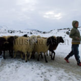 agriDagi24