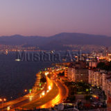 SONY DSC