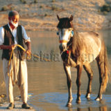 urfa03